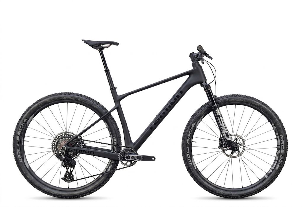 RAMLON LUPUS-RC Hardtail, komplett aufgebaut